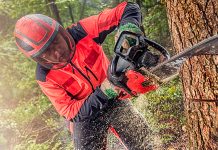 Forstarbeiter : Arbeiten als Forstwirt in Wald und Forst